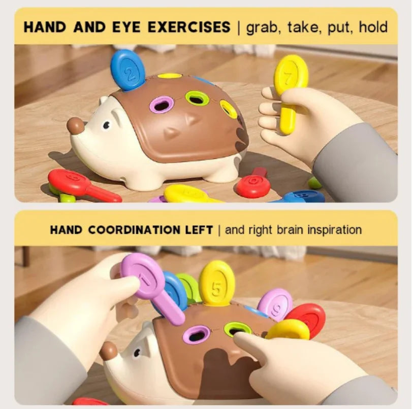 Hedgehog Montessori Baby Toys Hand-eye Coordination Fine Motor Training Develop Concentration Children Sensory Educational Toy